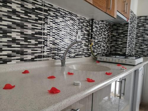 Afbeelding uit fotogalerij van AYDOĞDU SUİT OTEL in Bolu