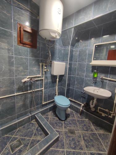 a bathroom with a blue toilet and a sink at Apartman Jakša in Žabljak