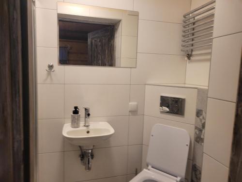 a bathroom with a toilet and a sink at Wynajem Pokoi Krystyna Mróz in Zakopane