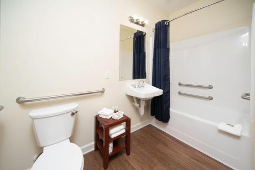 a bathroom with a toilet and a sink at Mt. Rose Hotel in Fayetteville