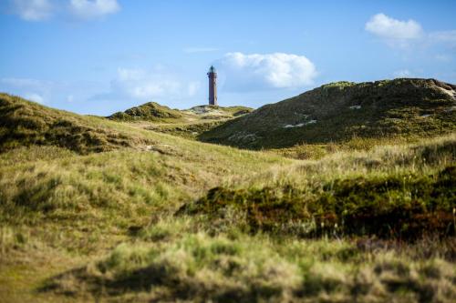 een vuurtoren op een heuvel met gras bij Haus Sieben Wohnung 1 Roonstraße 3 in Norderney