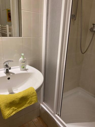 a bathroom with a sink and a shower at Aparthotel City 5 in Prague
