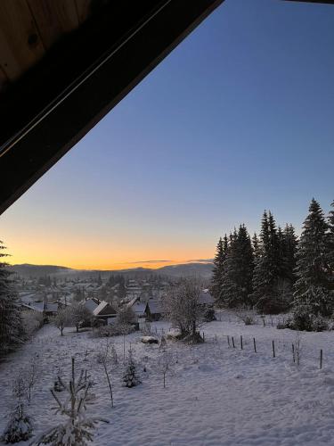 a view of a snow covered field with trees and houses at Cabana Neagră in Beliş