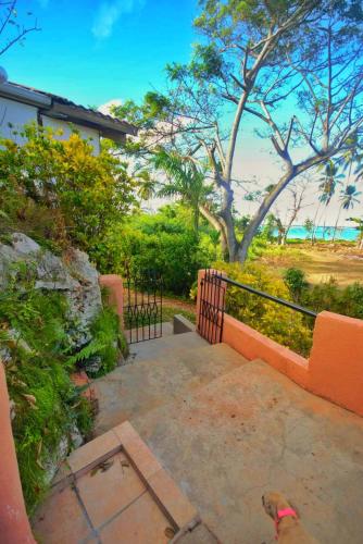 a dog is sitting on a patio in front of a house at Arena Oceanview Hotel & La Terraza Restaurant in Las Galeras