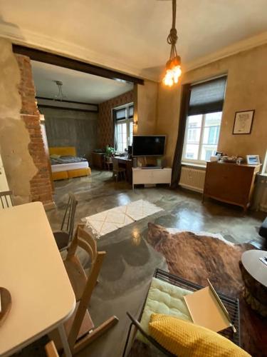 a living room with a cat laying on the floor at Industrial style loft in the heart of wiesbaden in Wiesbaden