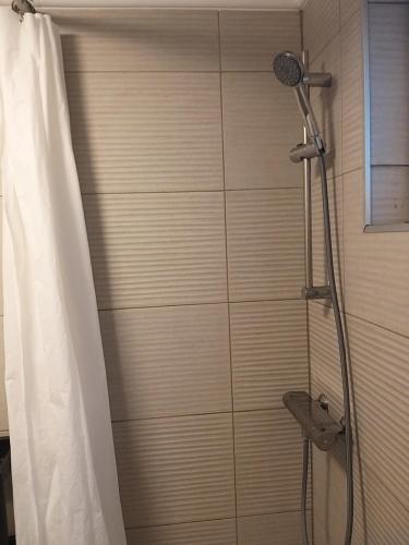 um chuveiro na casa de banho com uma cortina de chuveiro em Apartment Lenchy 2 em Zagreb