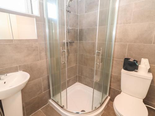 a bathroom with a shower and a toilet and a sink at Mountain View in Kinvara