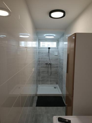 une salle de bain avec une douche avec une porte vitrée dans l'établissement Un bon momentde dente, à Bonneville