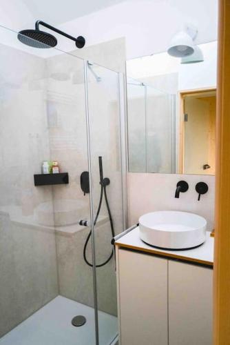 a bathroom with a shower and a sink at Cabin Westerwald Sauna, 5G Internet, E-Ladesäule in Niederdreisbach