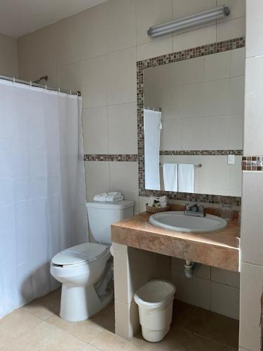 a bathroom with a toilet and a sink and a mirror at Hotel Santo Domingo Express in Villahermosa