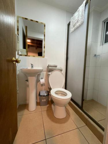 a bathroom with a toilet and a sink at Hotel Tierra de Parras in Chillán