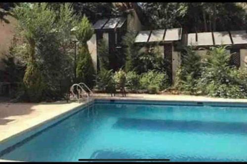 Cozy 2 BR apartment, with pool and big yard