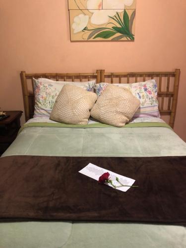 Cantinho da Paz – Photos 2