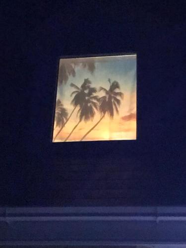 a picture of a window with palm trees at Baywatch, Shannon River View in Kilkee