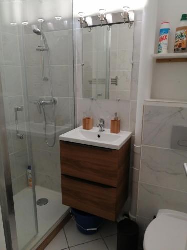 une salle de bain avec un lavabo et une douche dans l'établissement Charmant studio cosy, à Orléans