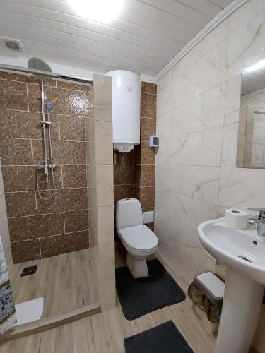 a bathroom with a toilet and a shower and a sink at Приватна садиба Два сини та донька in Bukovel