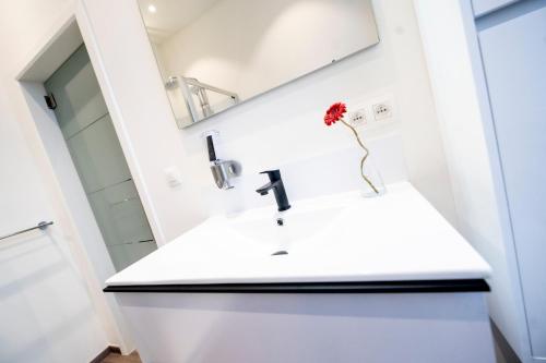 a bathroom with a white sink and a mirror at Les Gîtes Du Palais in Dinant