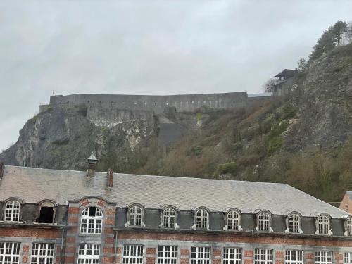 a large brick building with a castle on a mountain at Les Gîtes Du Palais in Dinant