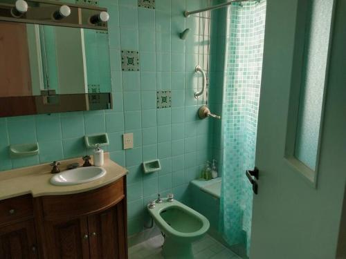 y baño con lavabo, aseo y ducha. en Departamento en Recoleta en Buenos Aires