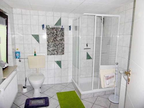 a bathroom with a shower and a toilet at Ruegen_Fewo 42 in Rambin