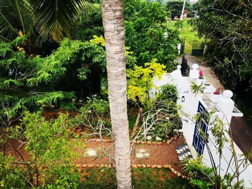 a white fence and a tree in a garden at Sriyan Villa in Beruwala