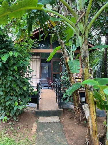 Jardín al aire libre en Mango Tree House