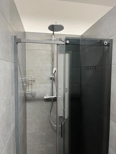 ウィーンにあるSpace Home Apartment - Praterのバスルーム(ガラスドア付きのシャワー付)