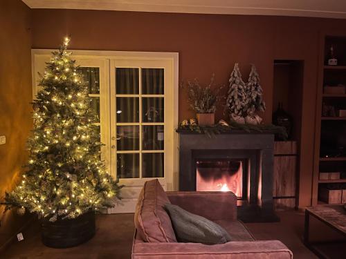 a living room with a christmas tree and a fireplace at Sfeervol familielandhuis in de groene Kempen in Baarle-Hertog