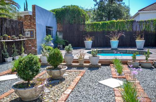 a garden with potted plants and a swimming pool at Biki Plek 2 in Kimberley