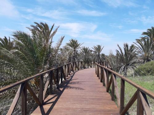 a wooden bridge over a beach with palm trees at Bajo con gran terraza en Ribera de Cabanes in Cabanes