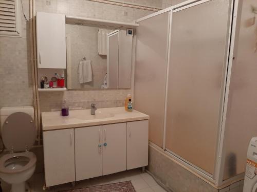 ein Bad mit einem WC, einem Waschbecken und einer Dusche in der Unterkunft Private Room in Istanbul #17 in Istanbul
