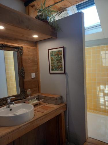 uma casa de banho com um lavatório e um espelho em le Portail bleu em Châtres