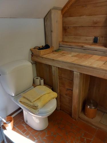 uma casa de banho com um WC e um balcão de madeira em le Portail bleu em Châtres