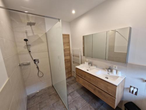 阿爾滕馬克特蓬高的住宿－Appartement Sami，一间带水槽和淋浴的浴室