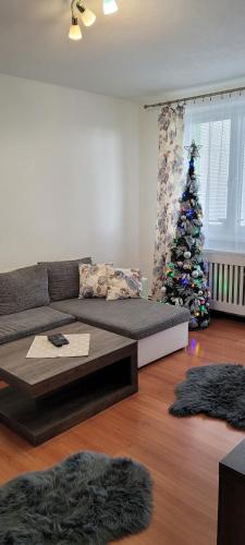 a living room with a christmas tree and a couch at Apartmán ZUZKA in Veľká Lomnica