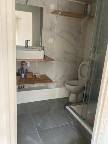 ein Bad mit einem Waschbecken und einem WC in der Unterkunft Le Duplex in Toulouse