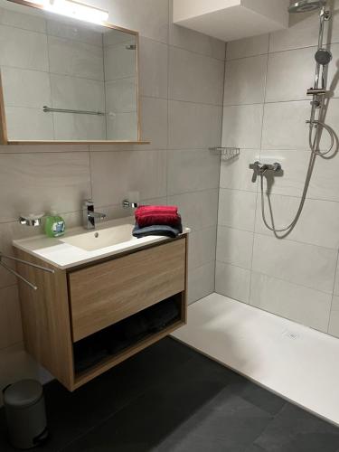 a bathroom with a sink and a shower at Au village de Nax, ravissant 2 pièces et demi avec terrasse in Nax