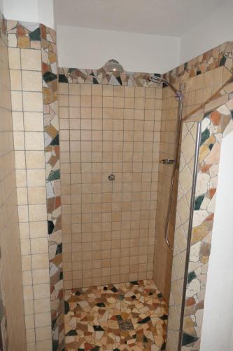 a bathroom with a shower with a tiled floor at Ferienwohnung Schaffenrath in Kaltenbach