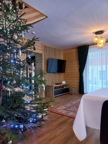 a christmas tree in a living room with a tv at Domek na Hubce II in Maniowy