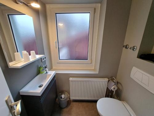 uma casa de banho com um WC, um lavatório e uma janela em Gästehaus Alpina em Berchtesgaden