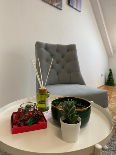 Ein Sitzbereich in der Unterkunft Vlasic Apartmani CENTAR