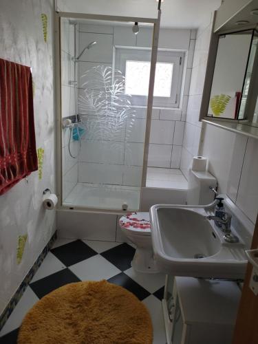 La salle de bains est pourvue d'une douche, de toilettes et d'un lavabo. dans l'établissement Am Möhnesee, à Warstein