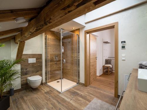 a bathroom with a shower and a toilet at Appartement Waldruhe in Söll