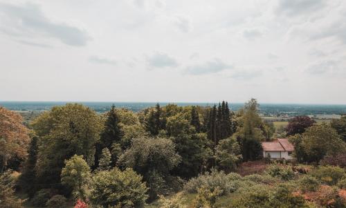 a house in the middle of a forest of trees at Hotel Bismarckhöhe in Tecklenburg