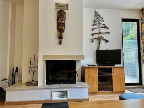 a living room with a fireplace and a tv at Christina Apartment in Laplandia in Pamporovo