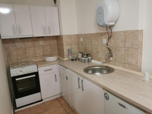 a small kitchen with a sink and a stove at 007 Apartments - TC Global, Strumica, Macedonia in Strumica