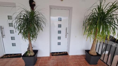 Gallery image of Apartament Santa Margarida in Roses