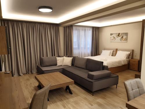 カルディツァにあるOlive Deluxe Apartmentのリビングルーム(ソファ、ベッド付)