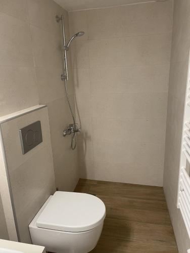 a bathroom with a toilet and a shower at New Studio in Arachova in Arachova