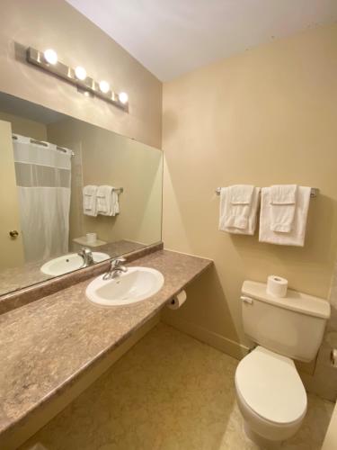 a bathroom with a toilet and a sink and a mirror at Hotel Bedford in Goderich